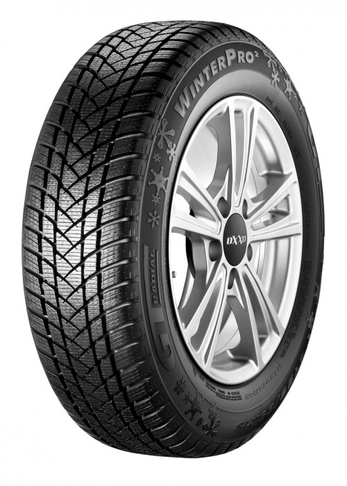 Putničke gume / 175/65R14 WINTERPRO2