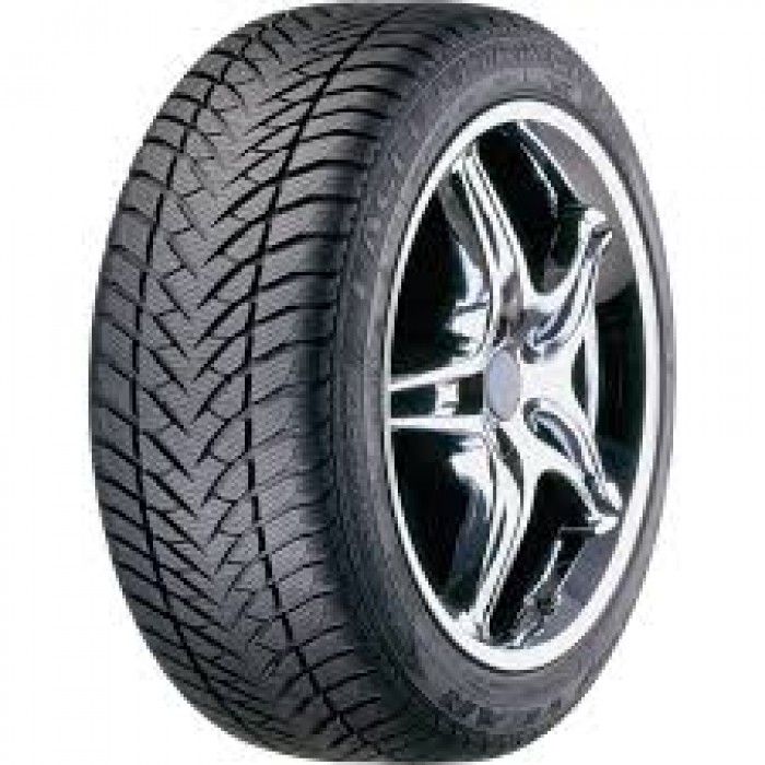 Putničke gume / 245/50R17 EAG UG GW-3 MS * ROF